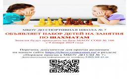 Шахматы