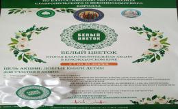 Благотворительная акция "Белый цветок"