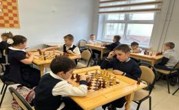 Программа занятий шахматами