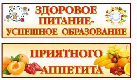 организация питания